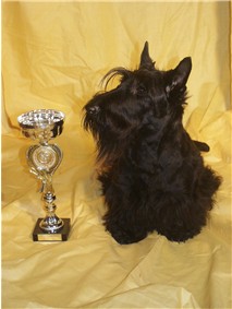 Hermine mit Pokal für V1 Jugendklasse in Berlin/Paaren Dez. 2004